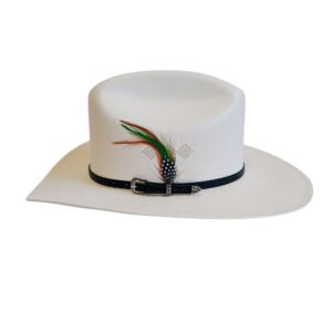 MAXITELAR SINALOENSE