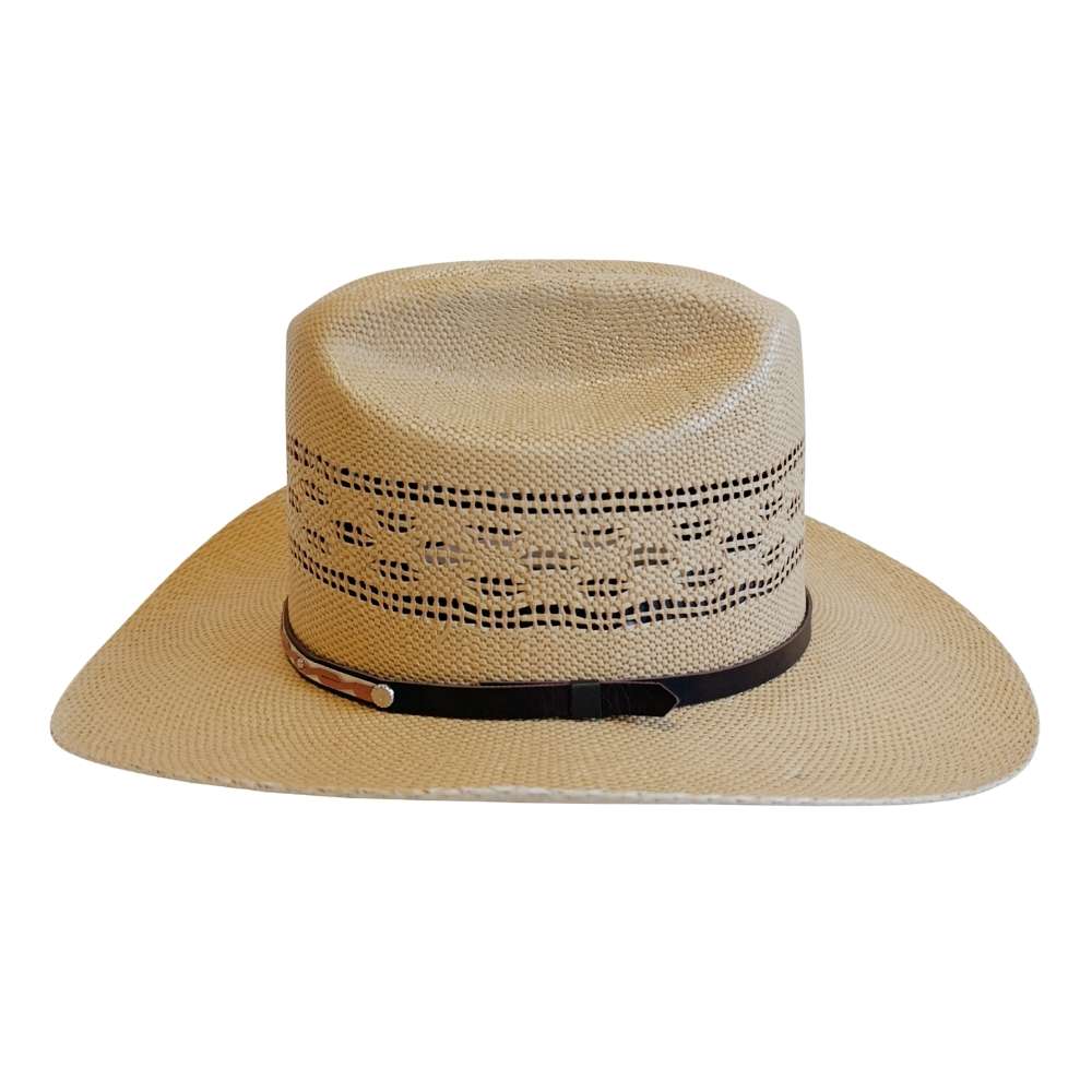 BANGORA MIEL SINALOENSE