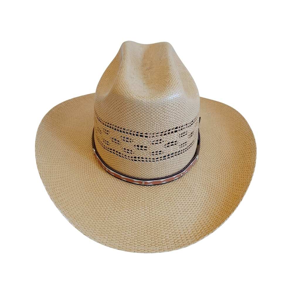 BANGORA MIEL SINALOENSE - Imagen 3